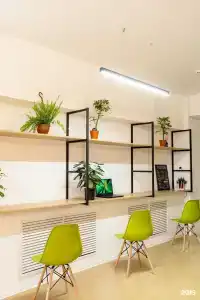 Primrooms - 1