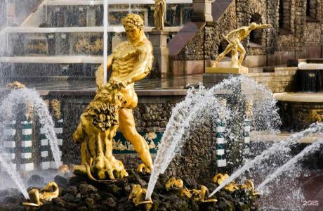 Чайковского - 40