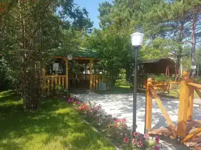 Восток - 15