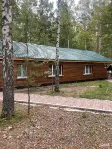 Белая сова - 40