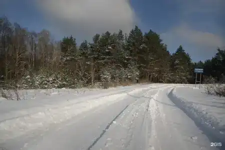Ежи - 99