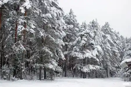 Порт Весьегонск - 90