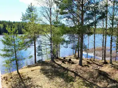 Ветреный Пояс - 19