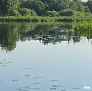 Колкуново - 67