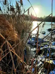 Снегурия - 35