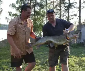 Янисъярви - 98