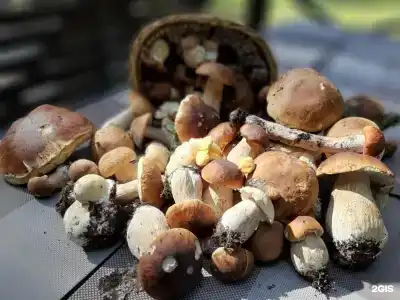 Янисъярви - 108