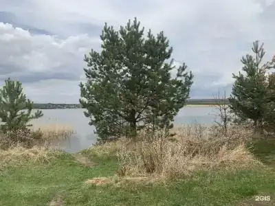 Сосновый бор - 11
