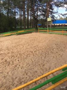 Зеленый Бор - 69