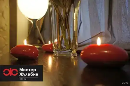Мистер Жулебин - 72