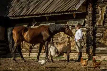 Dream Village Oksino - 21