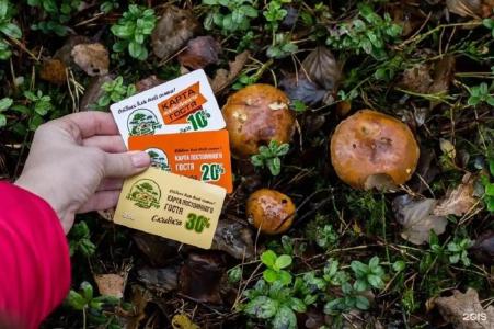 Зеленый Бор - 94