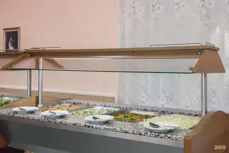 Спутник - 95