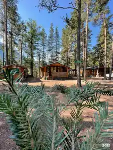 King House - 3