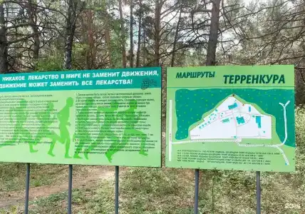 Сосновый бор - 64