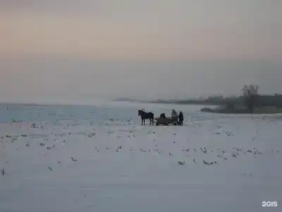 Крылатый - 77