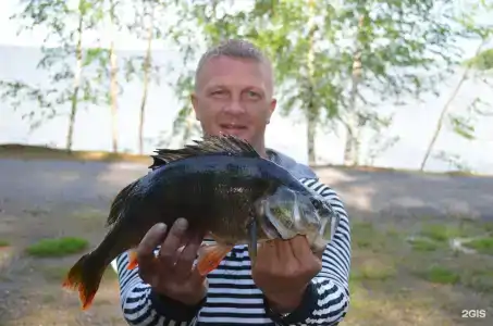 Шлем - 100