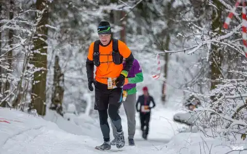 Зеленый Городок - 81