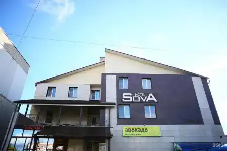 Сова - 86