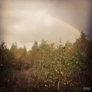Шерер - 16