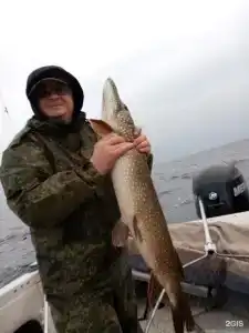 На Волне - 68