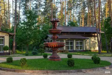 Зеленый Бор - 7