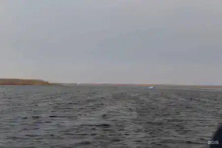 Икра - 36