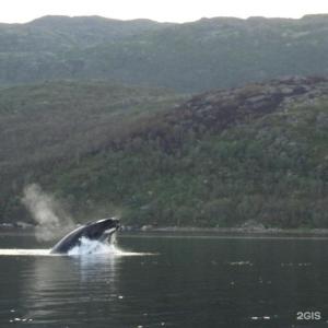 Арктик Хоум - 76