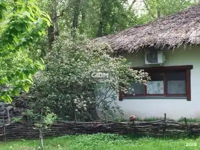 Репино - 104