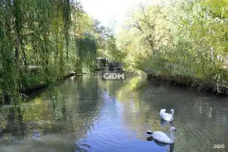 Репино - 39