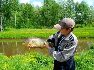 Сафари Парк - 67