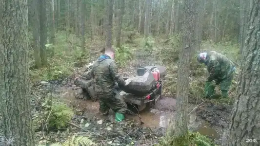 Сафари Парк - 91