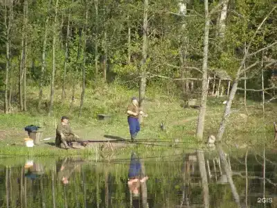 Сафари Парк - 54