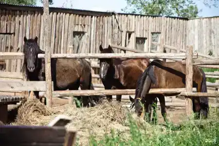 Летучая Рыба - 128