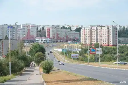 Лебедь - 21