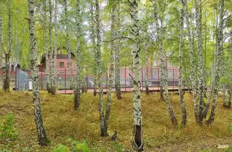 Лесная усадьба - 169