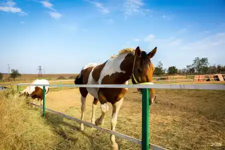 Золотые пески - 4