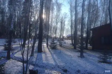 Белая Цапля - 57