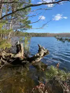 База отдыха на воде Оланга - 21
