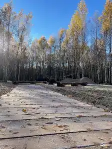 Шепот - 60