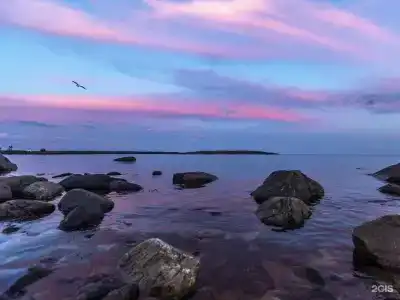 Кедр Грасс Белое Море - 22