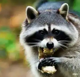 Парк Инал - 107