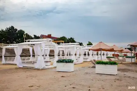 Династия - 1