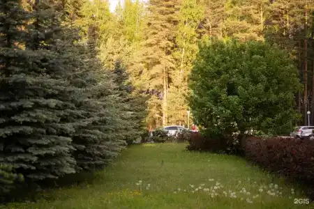Русский лес - 48