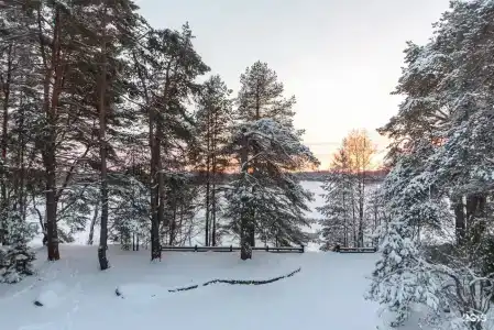 Тирс - 36