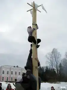 Селигер Палас - 99