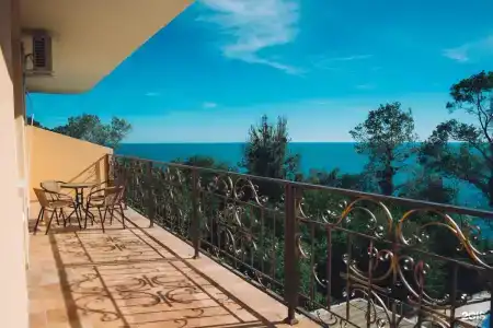 Агама - 29