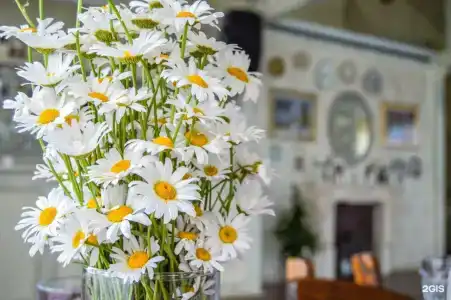 Рыболовный клуб Акулово - 31