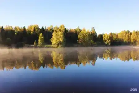 Ува - 11