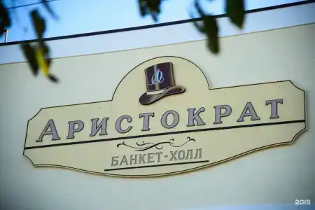 Аристократ - 119